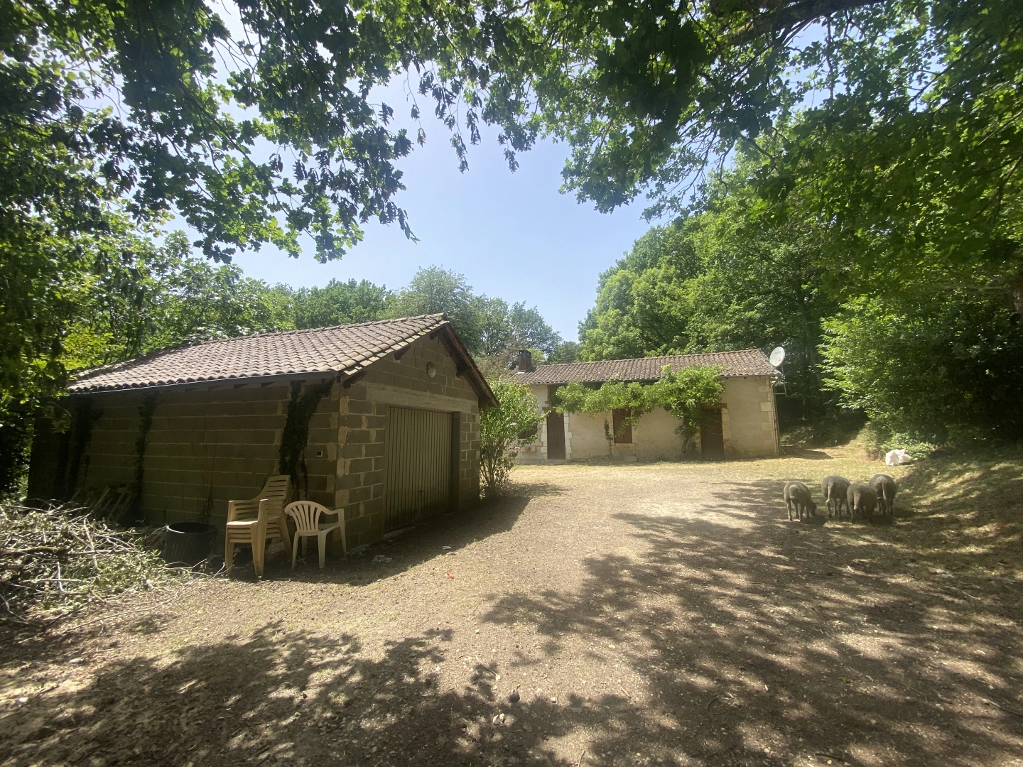 property